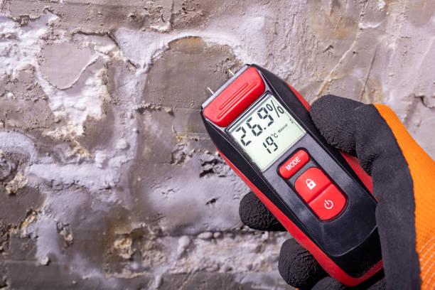 Best Water Damage Restoration  in Vaughn, WA