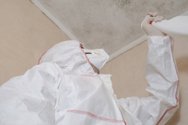 Vaughn, WA Mold Removal Company