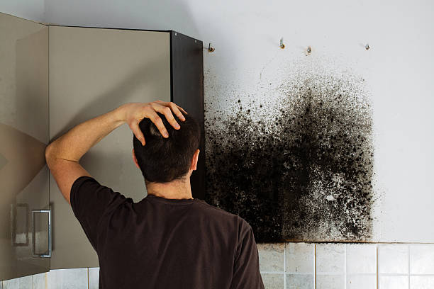 Best Residential Mold Removal  in Vaughn, WA